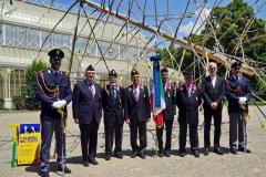 L'albero dei Tutti a Firenze