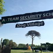 Inaugurazione Dog Village