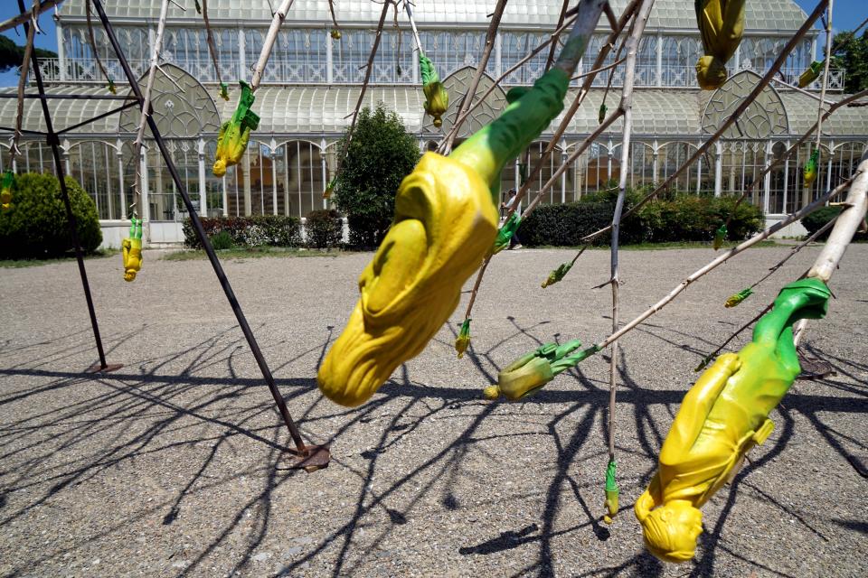 L'albero dei Tutti a Firenze