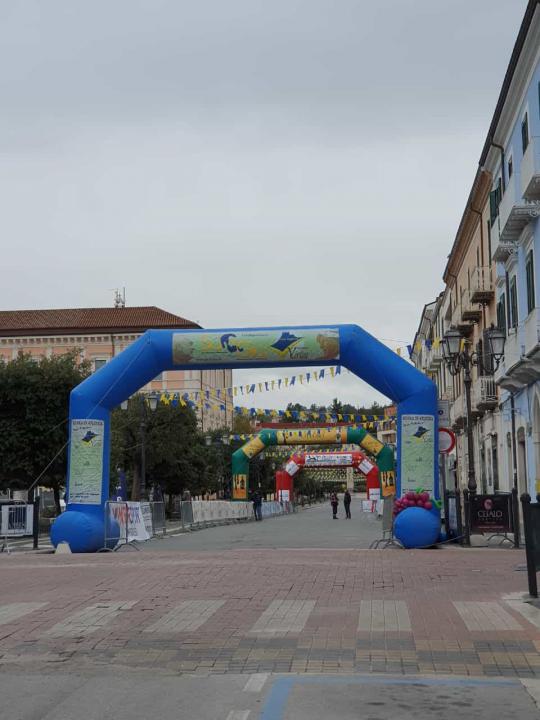 12 novembre 2024 50ª Edizione Gara Podistica  “Su e Giù Città di Campobasso”